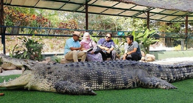 Langkawi Crocodile Adventure Land for Croc Encounter Combo